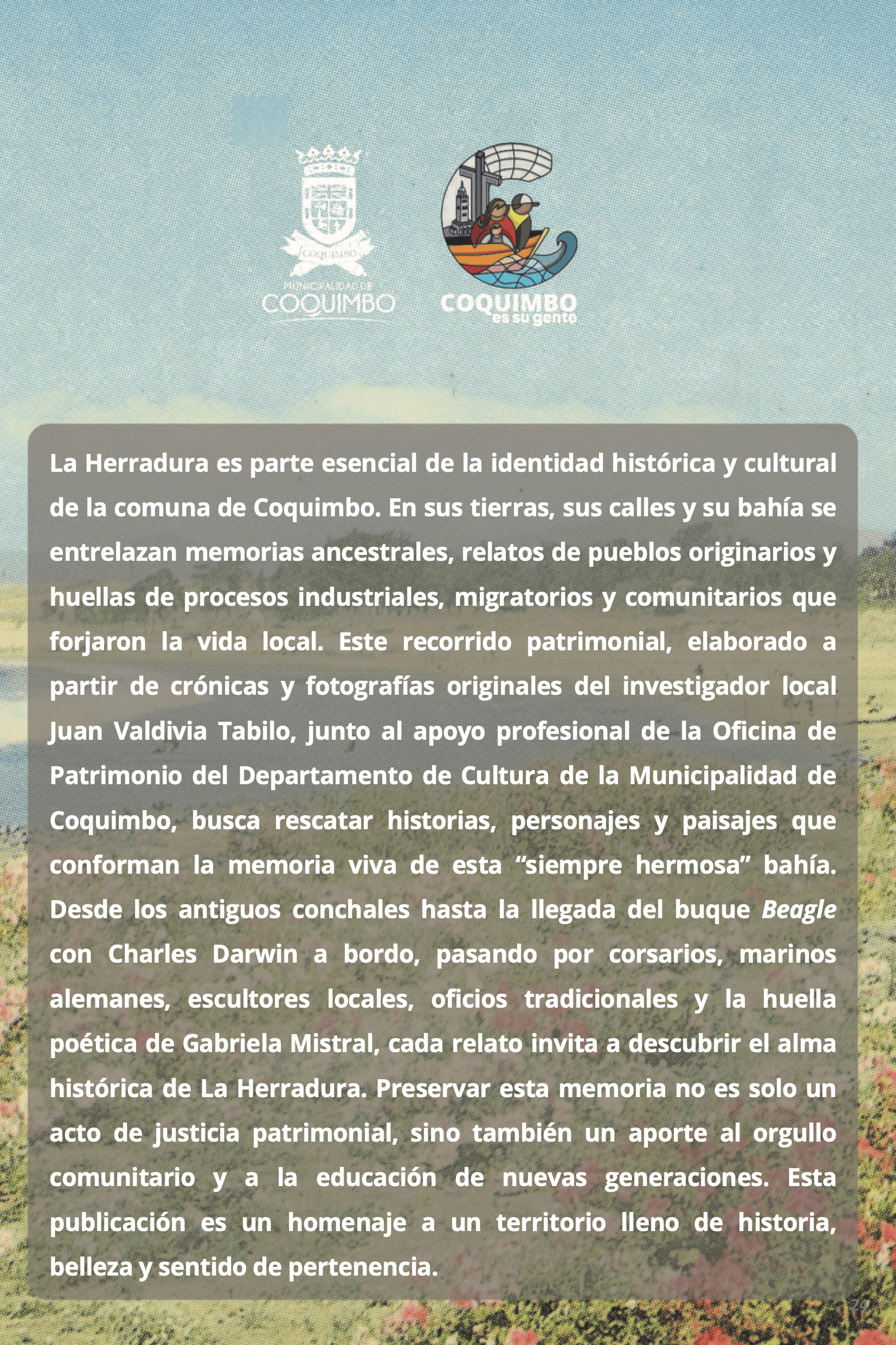 Página 24 del libro